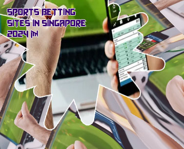 All sports betting websites