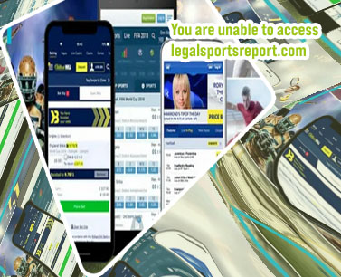 Best sports betting app reddit 2024