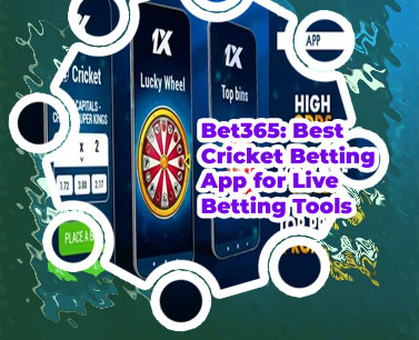 Online cricket betting apk