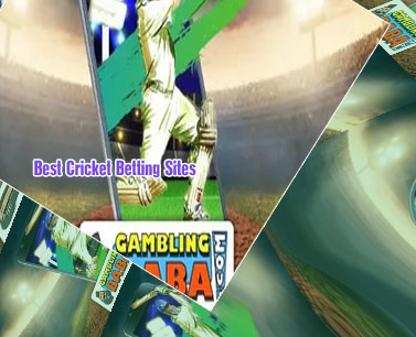 Only cricket betting app